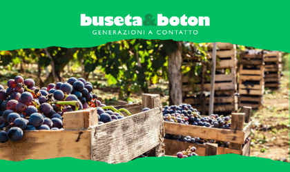 Ti racconto la vendemmia Ti racconto la vendemmia